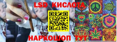 гашик Бузулук