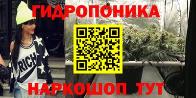 гашик Бузулук