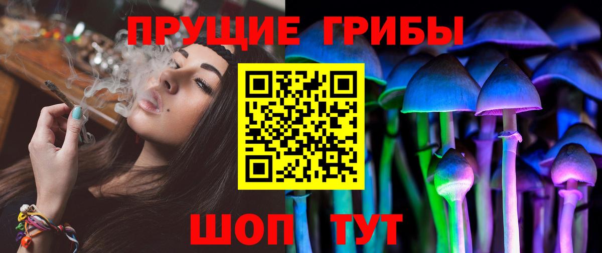 купить   Вход с VPN  Луховицы  Псилоцибиновые грибы ЛСД  Галлюциногенные грибы Psilocybe 